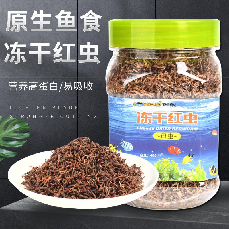 紅蟲用什么養_紅蟲怎么養出來的_家養紅蟲