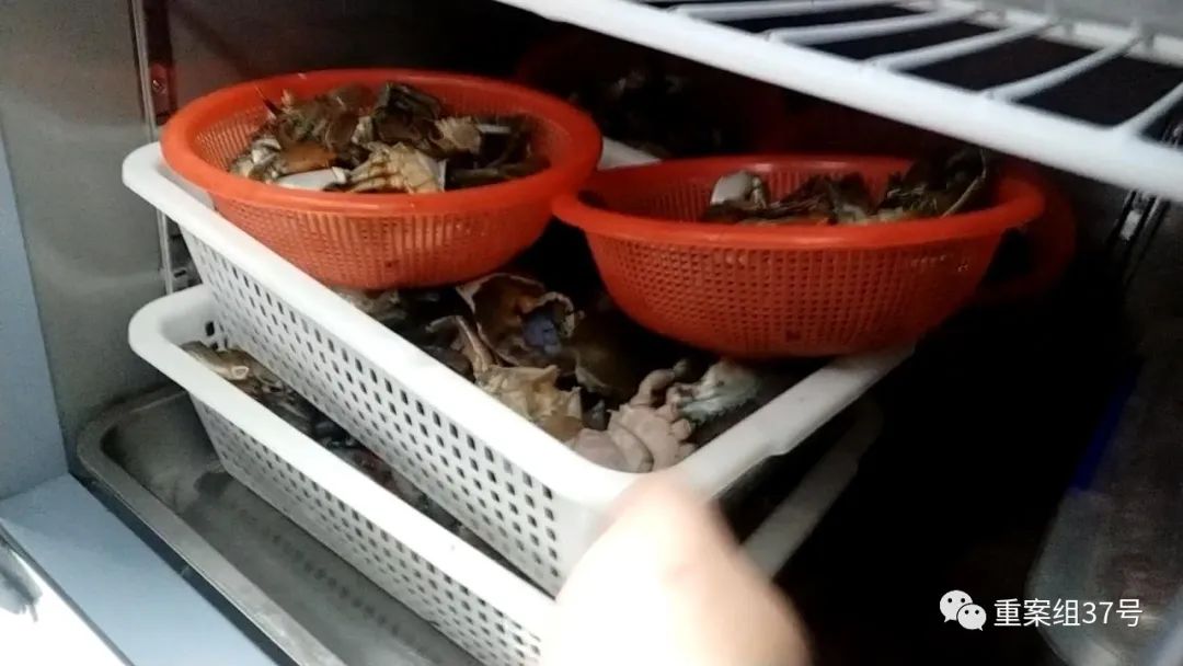 中秋前后的螃蟹最肥美，教你1個妙招，存放7天都鮮活好吃