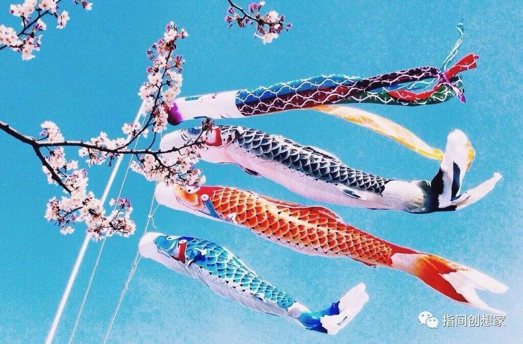 日本鯉魚旗是什么節日的象征_日本鯉魚旗文化_日本鯉魚旗子