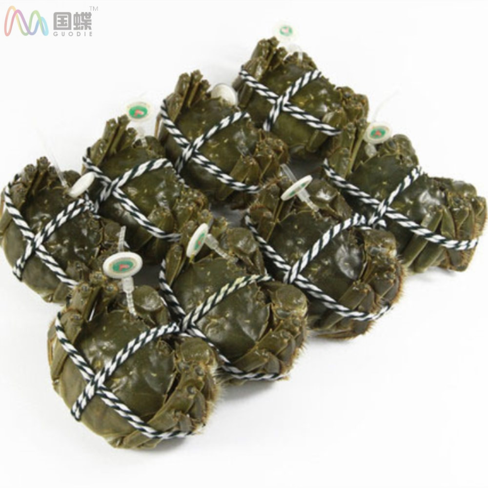 洪澤縣舉辦第二屆名江名湖螃蟹趣味運動會