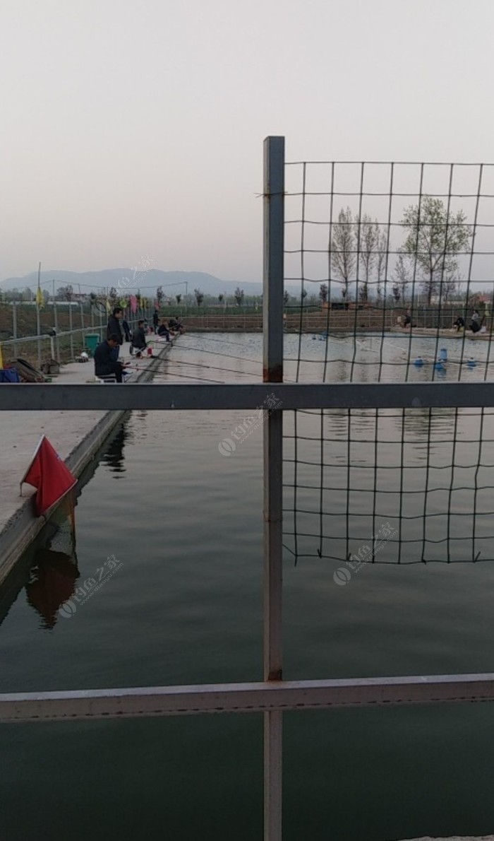 小梁釣的是什么魚嗎？（內附視頻）