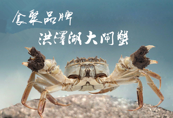 洪澤湖大閘蟹價格2020_洪澤區大閘蟹_洪澤湖大閘蟹