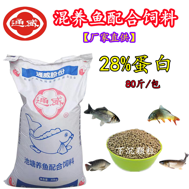主養黃顙魚成魚養殖模式_黃顙魚養殖技術_黃顙魚養殖技術視頻