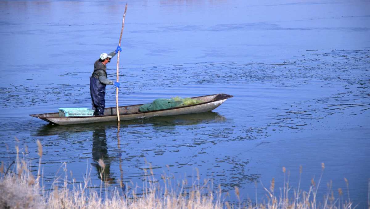 串鉤海釣鱸魚釣組_海釣鱸魚技巧串鉤_技巧鱸魚海釣串鉤視頻教程