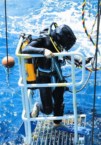 大海釣大魚視頻_大海釣魚視頻大全高清_海釣大魚視頻
