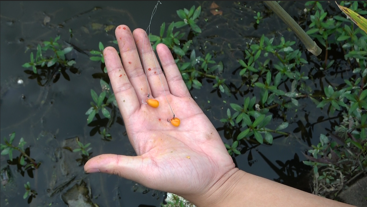 走水怎樣釣草魚技巧_釣草魚技巧走水圖解_釣草魚走水怎么釣