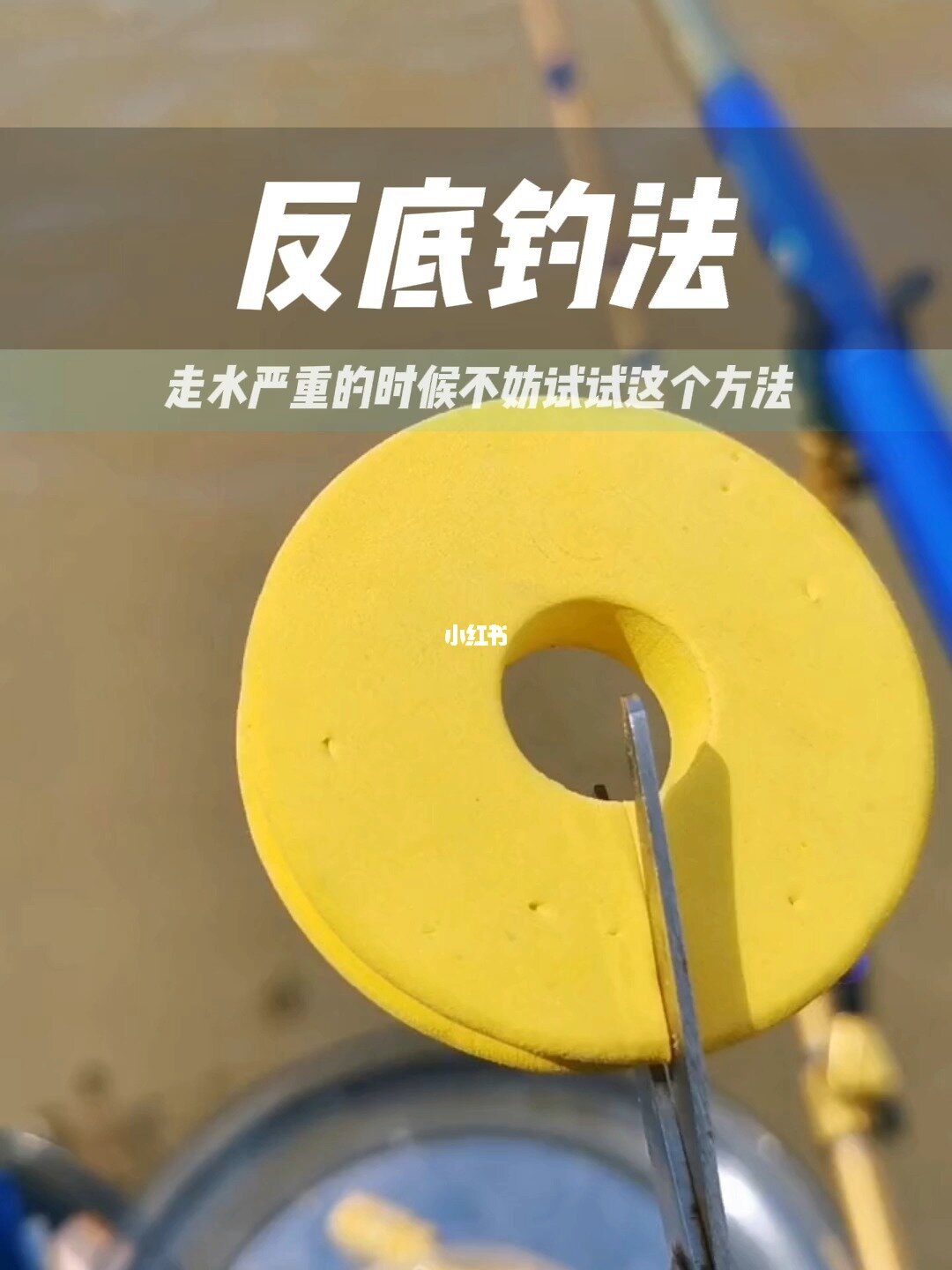 走水怎樣釣草魚技巧_釣草魚技巧走水圖解_釣草魚技巧走水圖片
