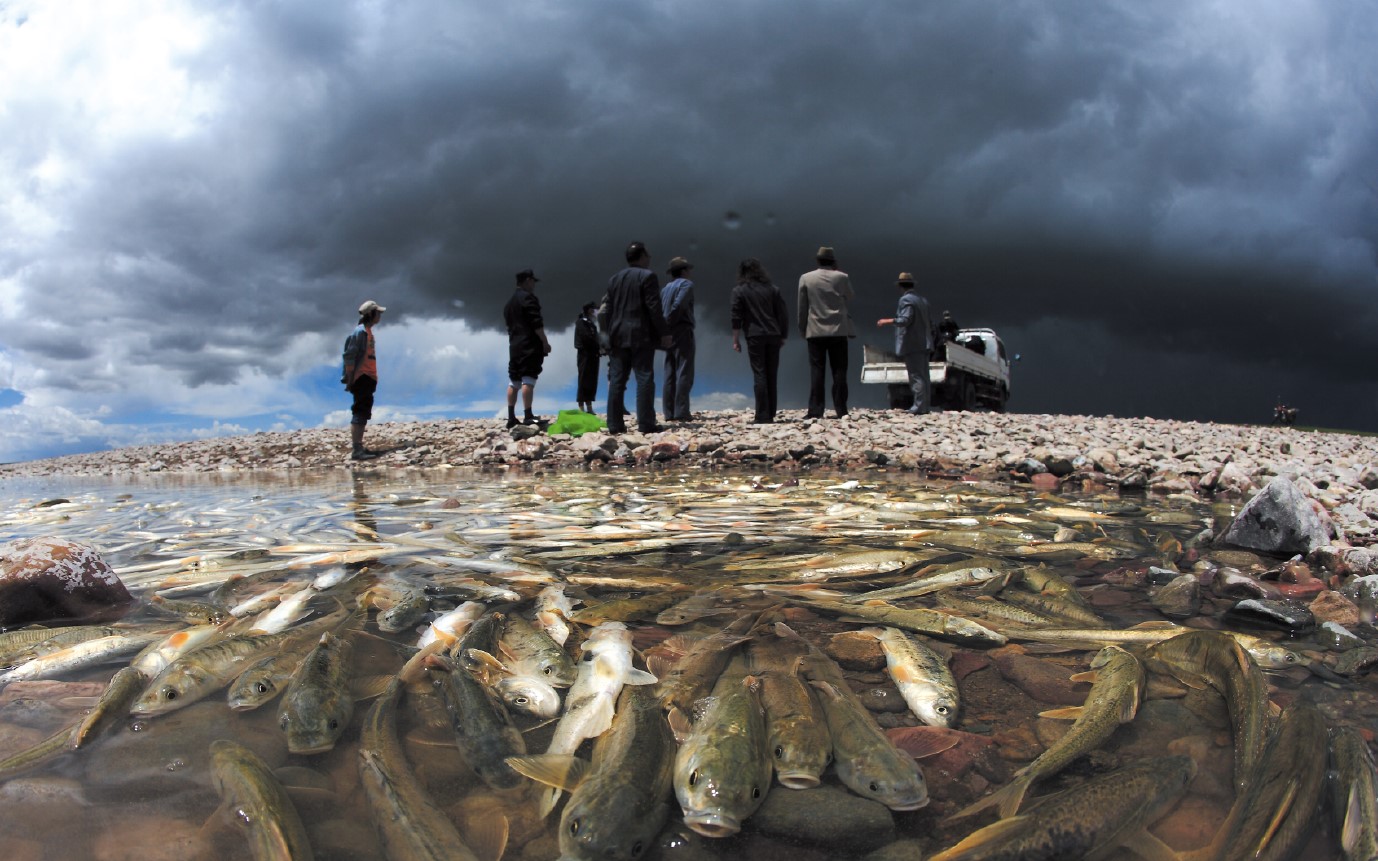 魚沒熟吃了會怎么樣_魚沒有氧氣能活多久_沒有水的魚