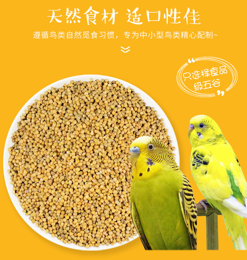 鸚鵡魚吃什么食物_食物吃鸚鵡魚好嗎_食物吃鸚鵡魚會怎么樣