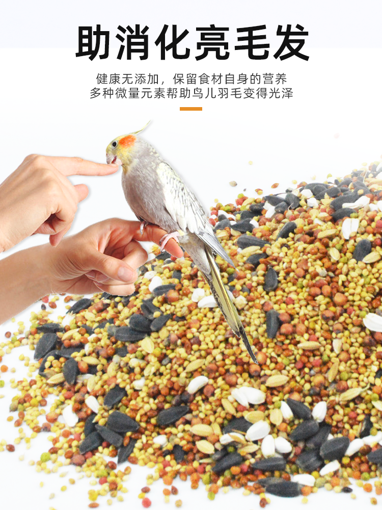 食物吃鸚鵡魚好嗎_食物吃鸚鵡魚會怎么樣_鸚鵡魚吃什么食物