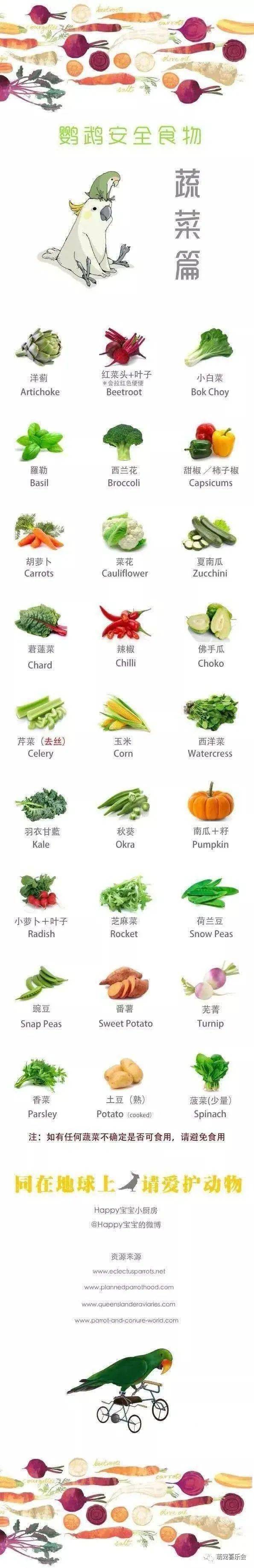 食物吃鸚鵡魚好嗎_鸚鵡魚吃什么食物_吃鸚鵡魚視頻