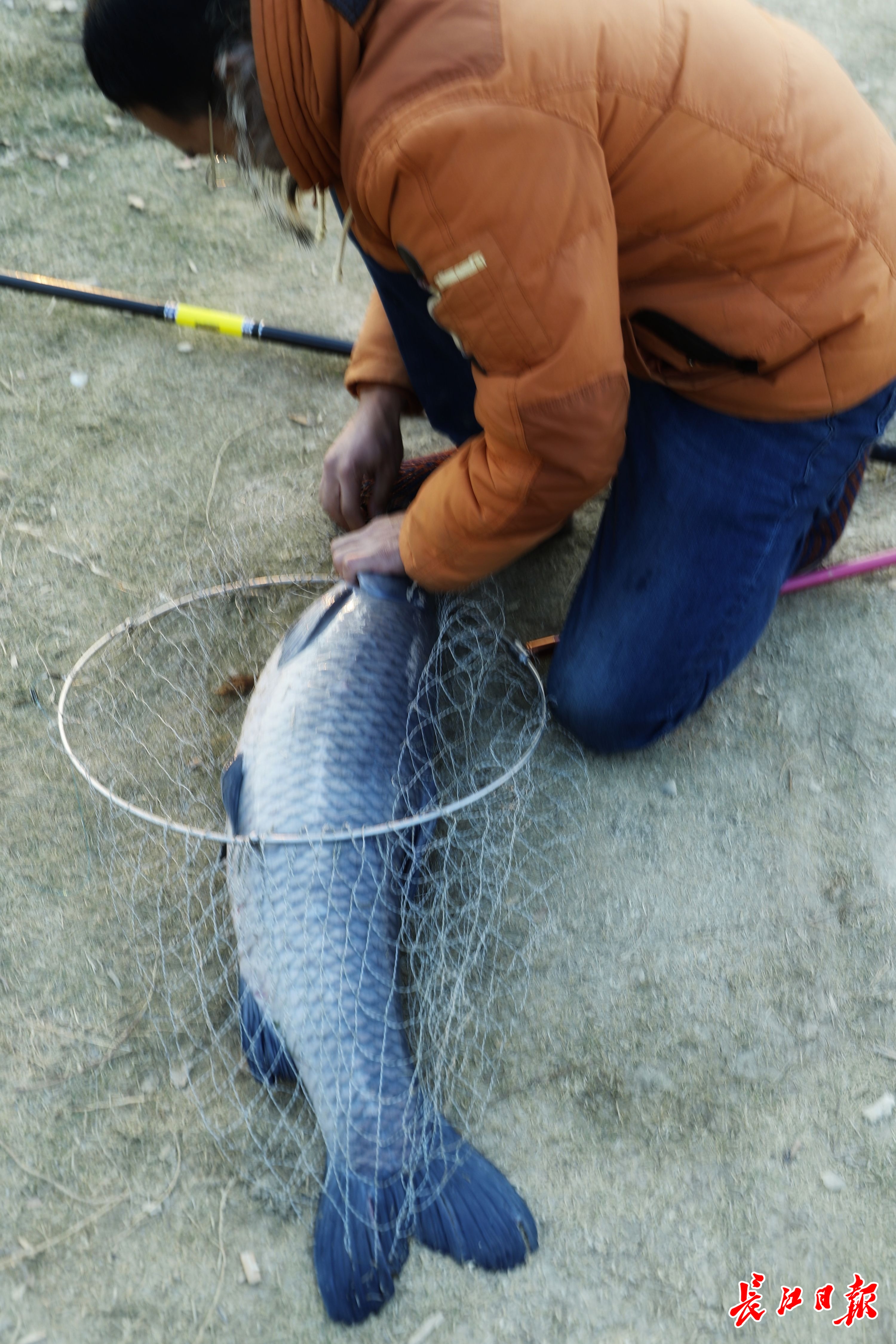 魚竿光威特價_光威魚竿價格差異大的原因_光威大野戰魚竿