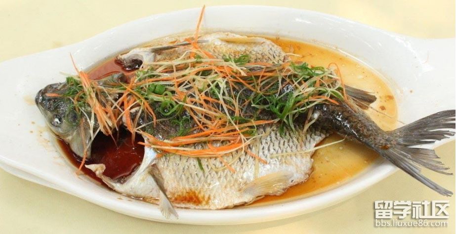草魚吃什么_草魚吃紅薯葉嗎_草魚吃蚯蚓嗎