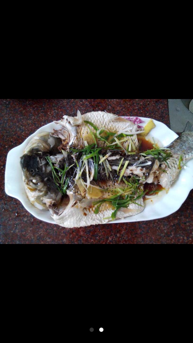草魚吃蚯蚓嗎_草魚吃什么_草魚吃紅薯葉嗎