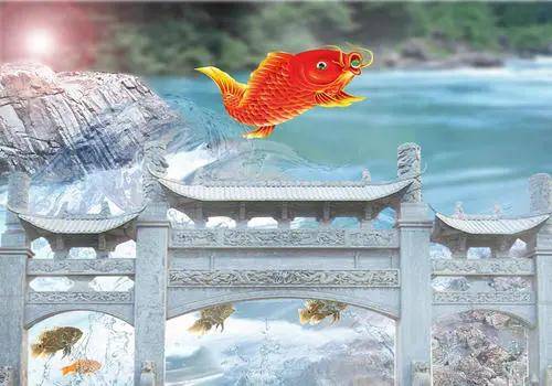 鯉魚躍龍門取名_鯉魚躍龍門的故事寓意是什么?_鯉躍龍門典故