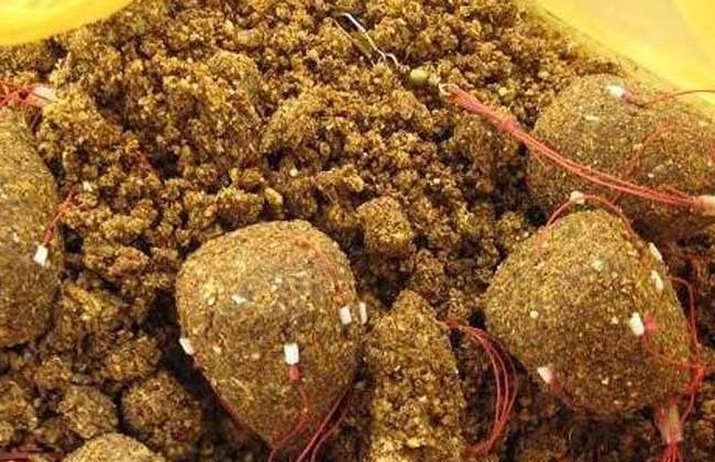 釣魚阿魏藥酒好還是麝香酒好_釣魚阿魏是什么_阿魏釣魚