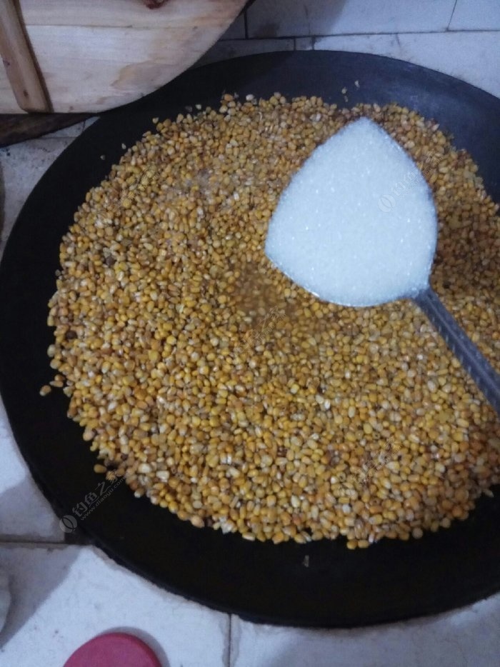 玉米釣草魚視頻大全集_玉米釣草魚餌料配方視頻_玉米釣草魚視頻教程