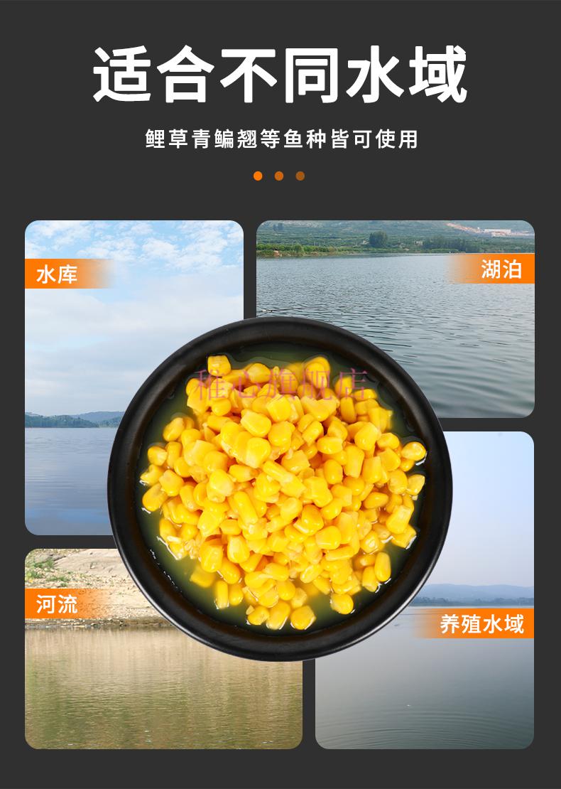 （釣魚技巧）夏季釣大魚的幾種自制餌料配方