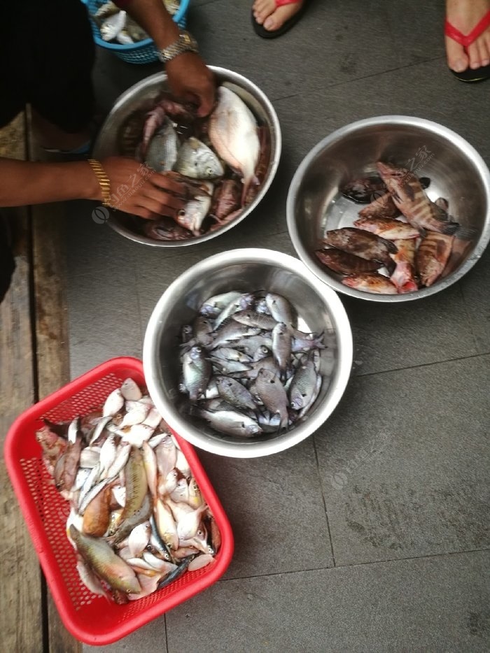 深圳海釣魚免費地點推薦_深圳海邊免費釣魚_深圳哪里海釣魚免費