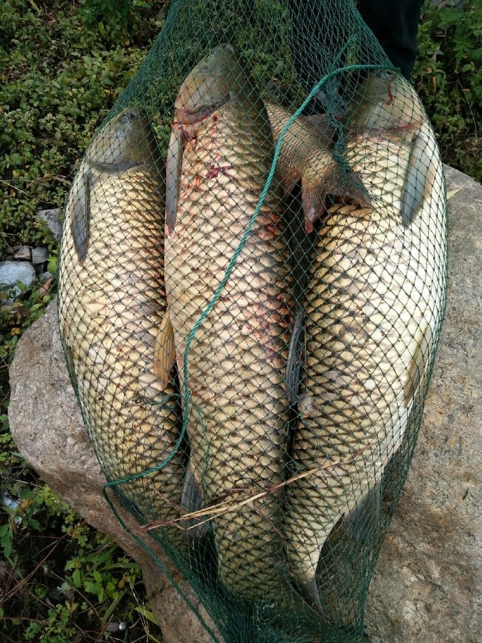 陽泉釣魚場_陽泉釣魚網_陽泉釣場