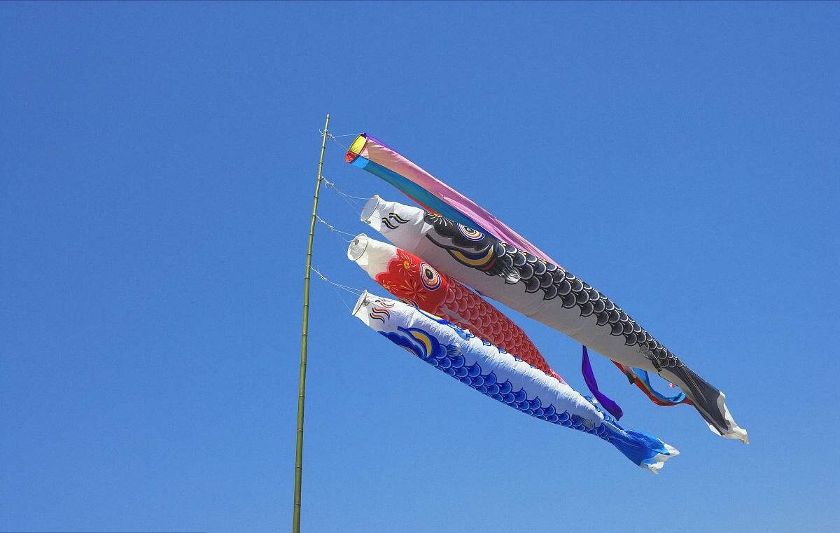 鯉魚旗是什么象征_鯉魚旗節日的象征_鯉魚旗是什么節日的象征