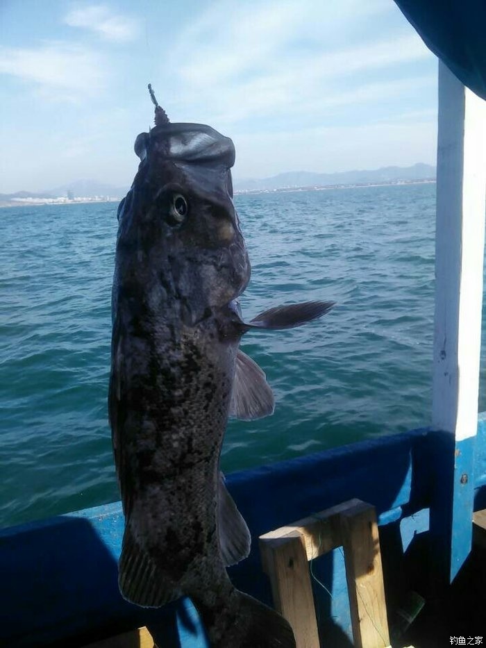 海釣魚餌怎么掛鉤_釣海魚掛餌的技巧_海釣魚餌掛法