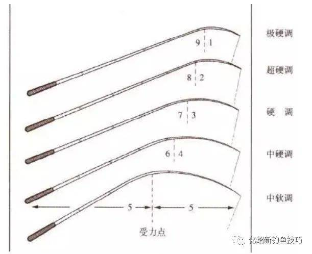 28調魚竿什么意思_魚竿說的調是什么意思_如何理解魚竿調數
