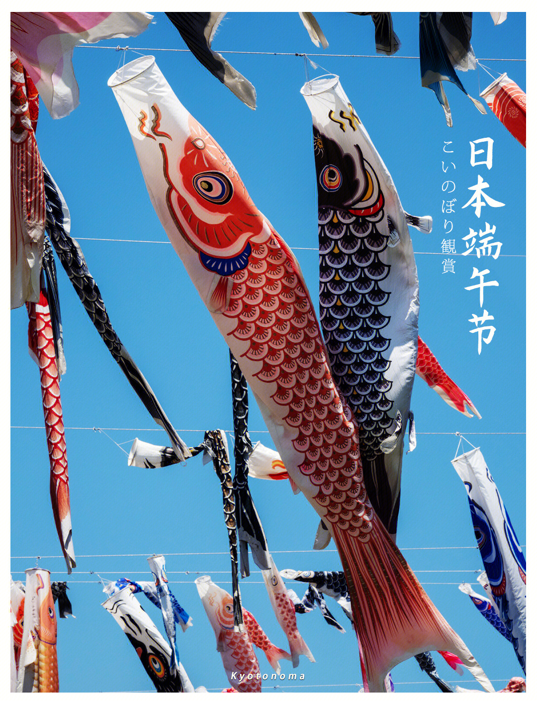 旗鯉魚象征節日是什么意思_鯉魚旗是什么節日的象征_鯉魚旗是什么象征