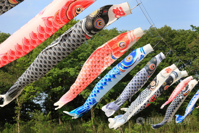 鯉魚旗是什么節日的象征_旗鯉魚象征節日是什么意思_鯉魚旗節日的象征