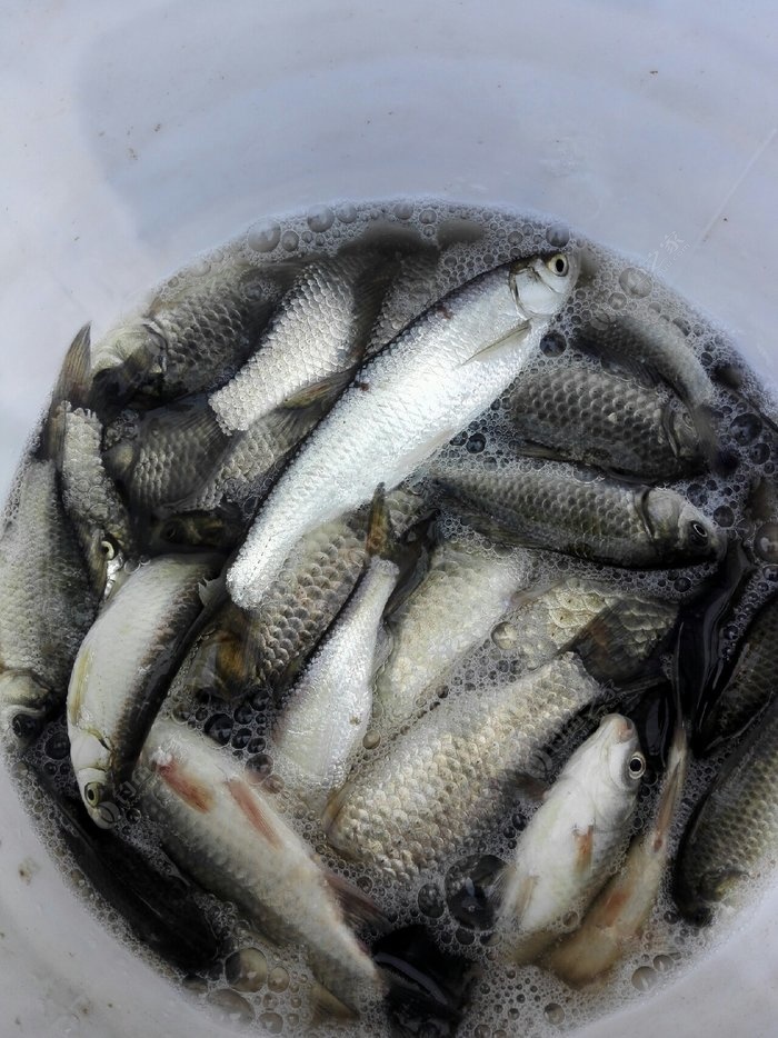釣路亞有什么技巧_釣路亞怎么選釣點_路亞釣法釣什么魚合適知識