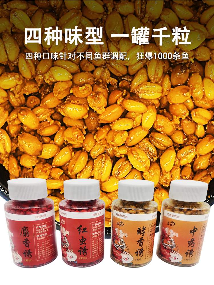 秋冬季釣鯽魚用什么餌料好_秋冬釣鯽魚餌料搭配_秋冬季釣鯽魚餌料配方大全