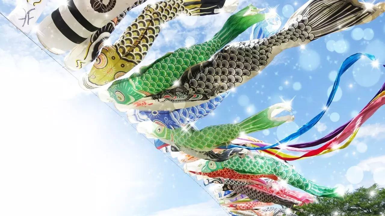 鯉魚旗是什么節日的象征_旗鯉魚象征節日是什么意思_旗鯉魚象征節日是什么