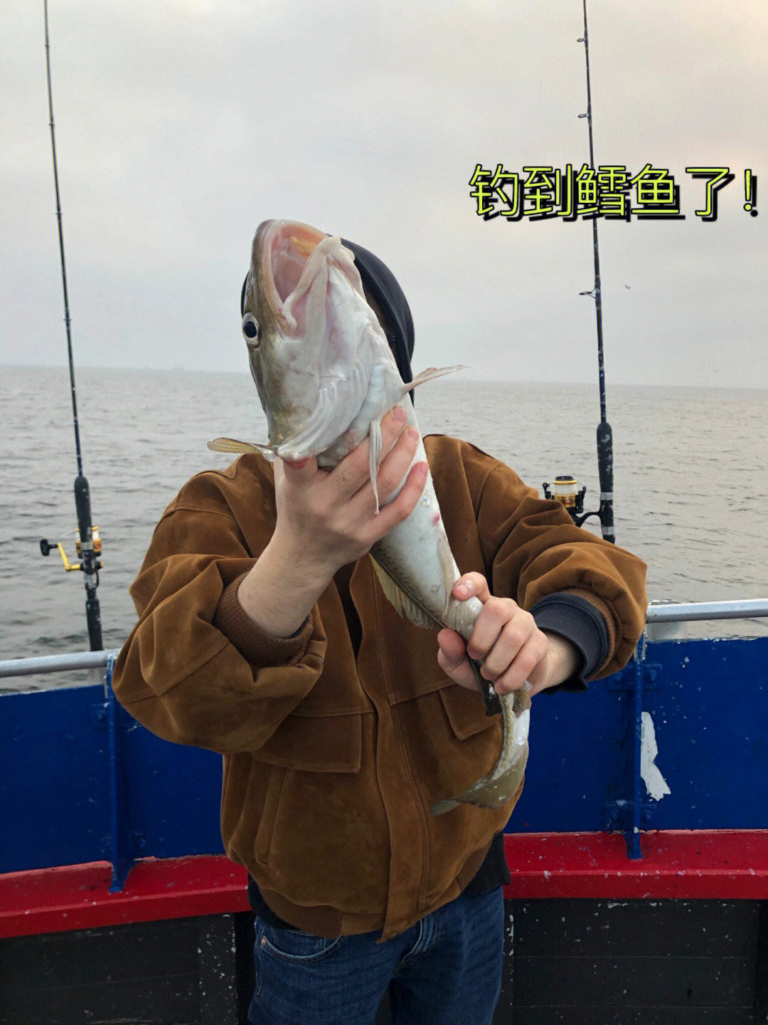 出海釣魚小說_釣魚出海小說免費閱讀_出海釣魚打魚小說