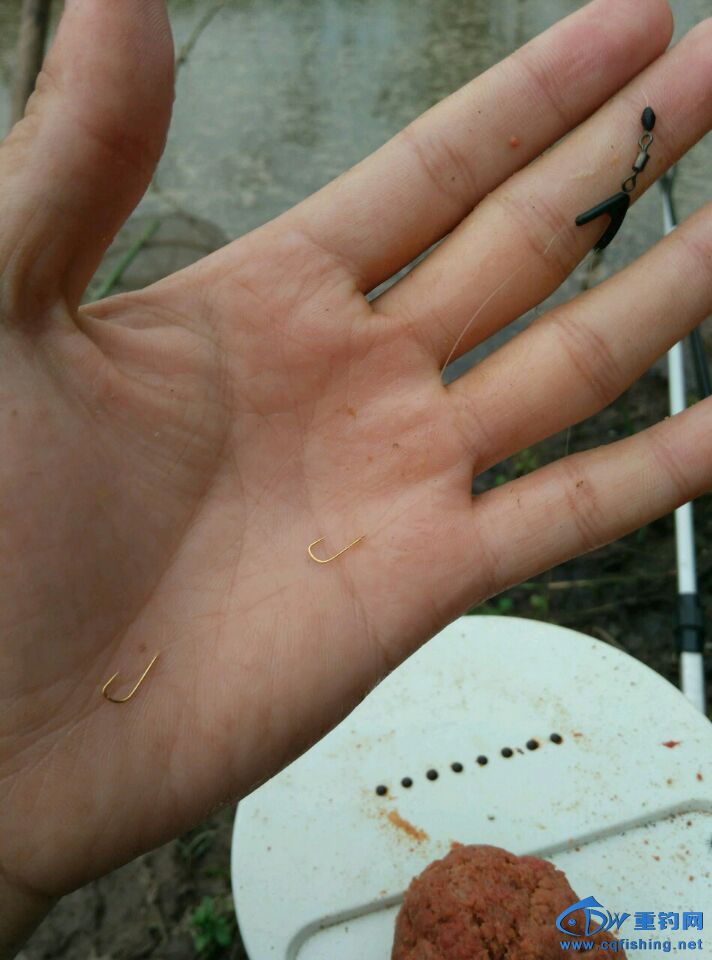 渾水釣魚_釣魚渾水和清水該怎么釣_釣魚渾水用什么餌最好