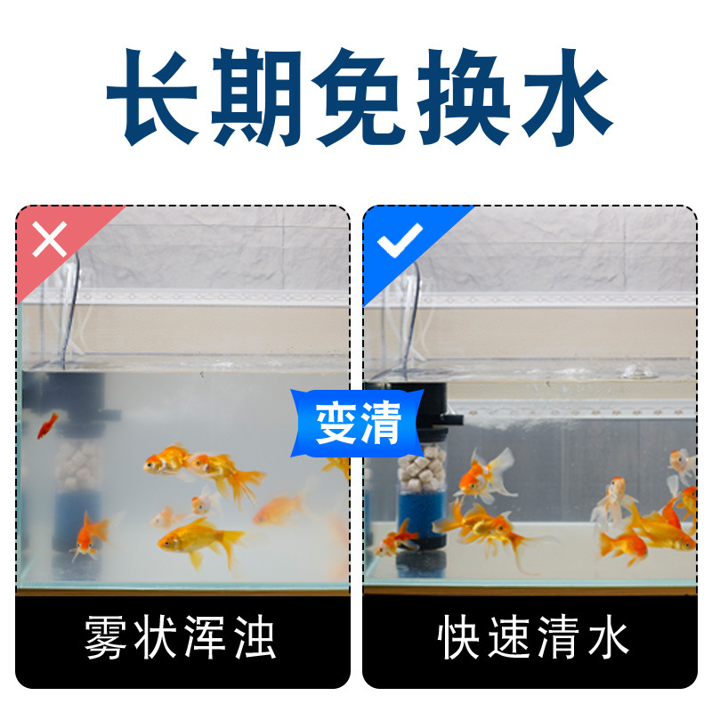龍魚之家_魚龍家族圖_魚龍家族成員