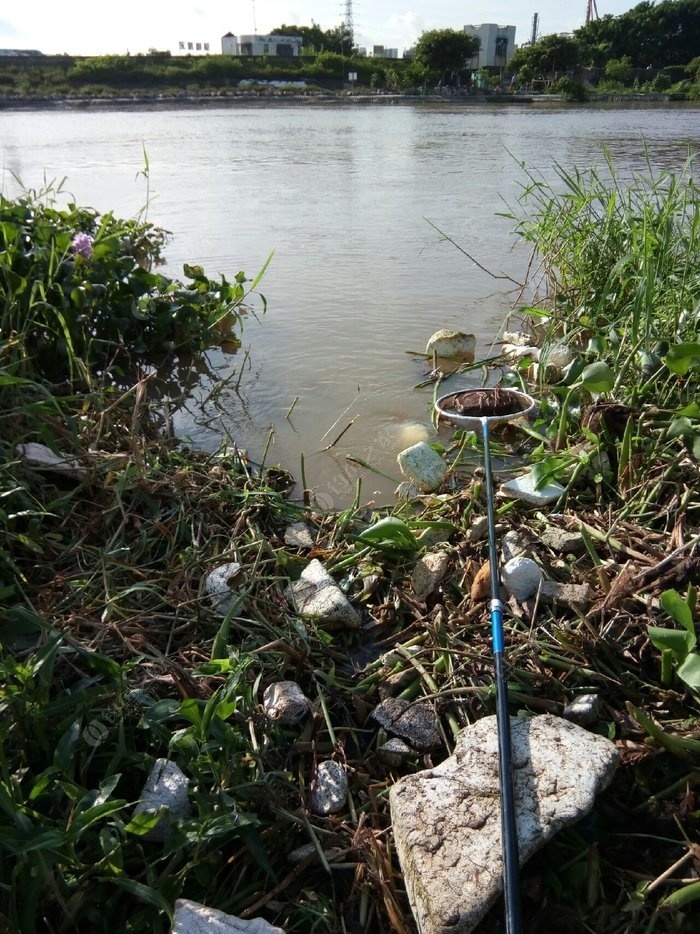 深秋釣鯽魚調幾釣幾_深秋釣鯽魚什么天氣好_深秋釣鯽魚最佳釣點