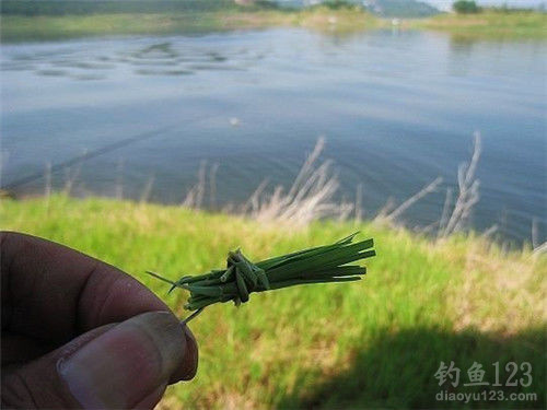 夏季行之有效的釣法--手竿浮釣草魚是怎樣的
