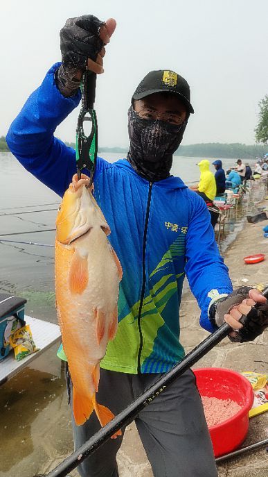 化紹新釣魚調漂視頻大全_釣魚最簡單準確的調漂視頻_釣魚技巧視頻高清調漂
