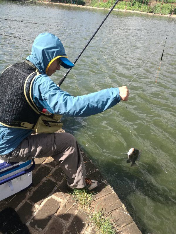 釣魚調漂的視頻教程_化紹新釣魚調漂視頻大全_釣魚最簡單準確的調漂視頻