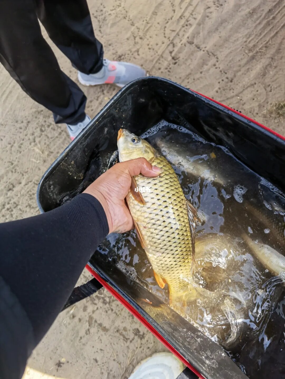 鉤釣魚圖解種類有哪些_鉤釣魚圖解種類大全_釣魚鉤的種類及圖解