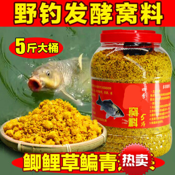 水庫釣魚技巧_釣魚水庫技巧和方法_釣魚水庫技巧視頻