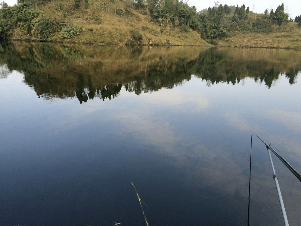 釣魚水庫技巧和方法_水庫釣魚教程_水庫釣魚技巧