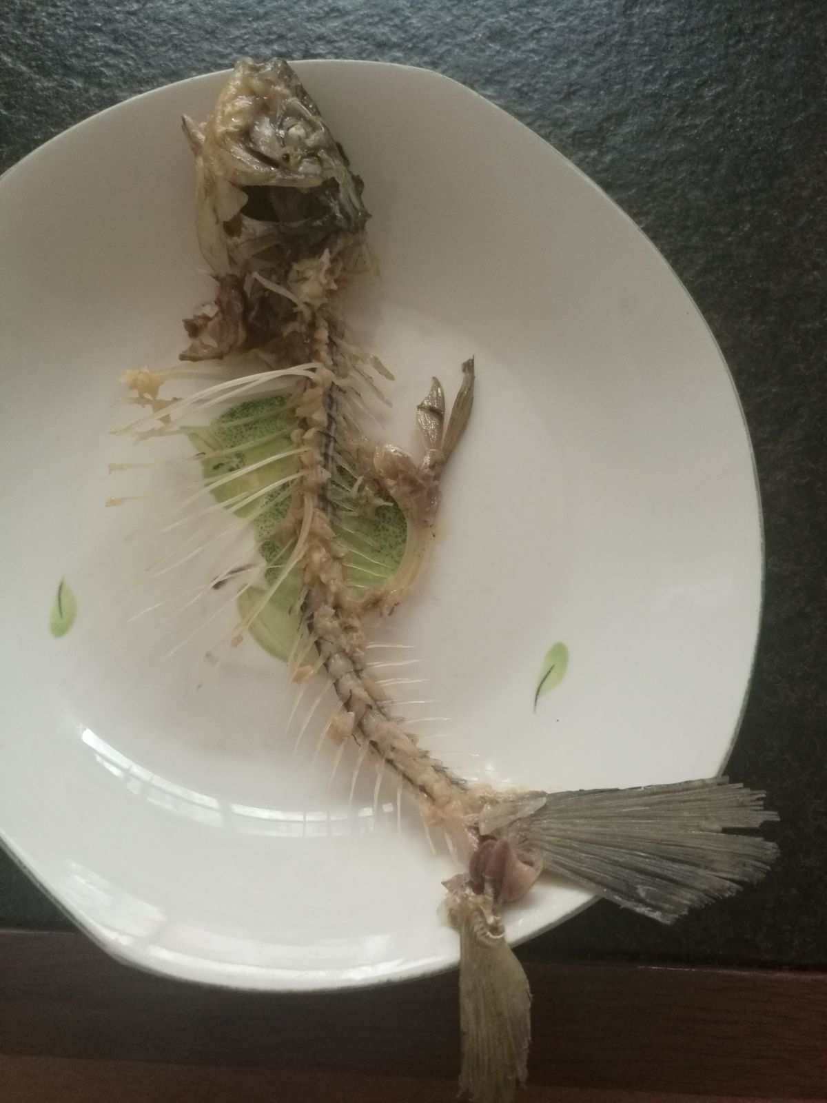 鯽魚魚刺多還是草魚魚刺多_草魚鯽魚刺_草魚刺多還是鯽魚刺多