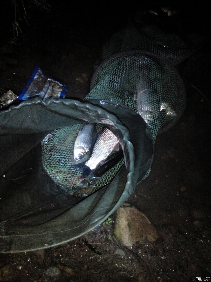 釣夜魚怎么釣_釣夜魚技巧_夜釣技巧有哪些