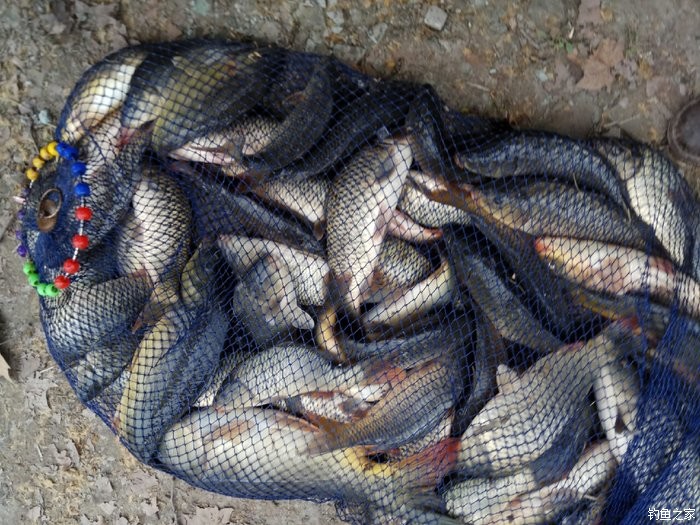 福州哪里野釣_福州釣魚的地方_福建省 福州有那些地方好釣魚