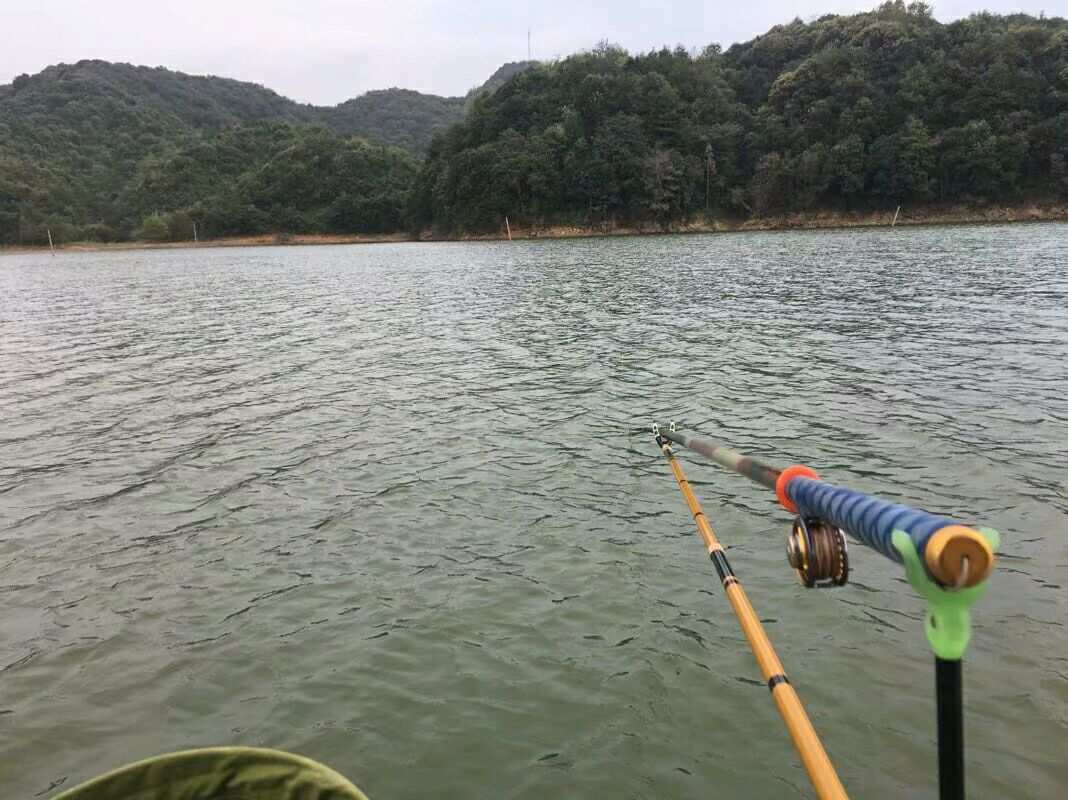 水庫釣魚教程_釣魚水庫技巧視頻_水庫釣魚技巧
