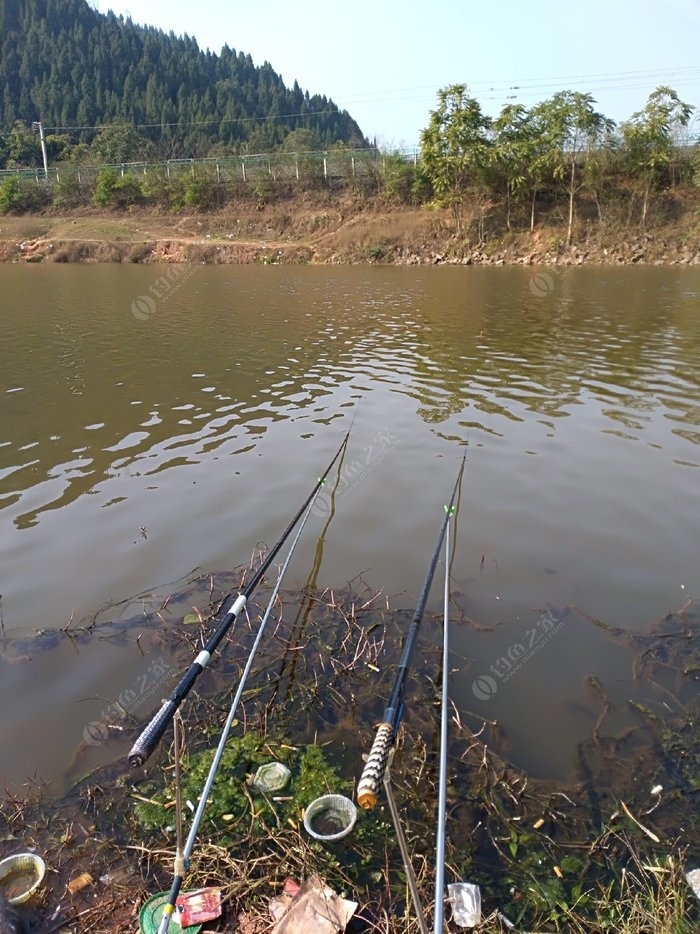 水庫釣魚技巧_水庫釣魚教程_釣魚水庫技巧視頻