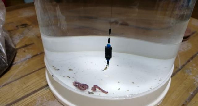 臺釣怎樣調魚漂_臺釣調漂有幾種方法_臺釣調漂怎么樣調低釣高