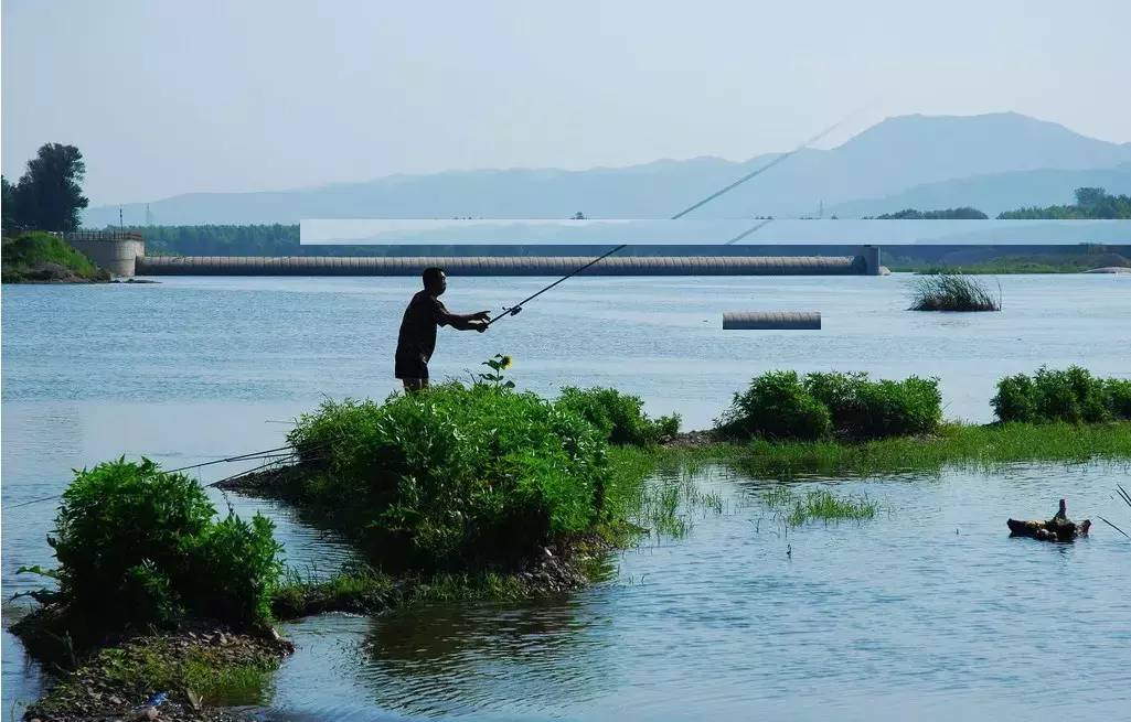 初夏釣魚釣深水還是淺水_夏季釣深水_夏季釣魚是深水好還是淺水好