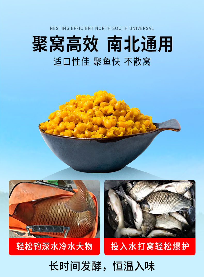 秋天釣鯽魚餌料配方視頻_秋天垂釣鯽魚用什么餌料_秋季釣鯽魚視頻